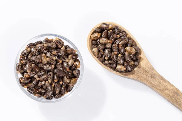 Ricinus Communis Αποξηραμένοι Σπόροι Του Καρπού Του Φυτού Castor Bean — Φωτογραφία Αρχείου