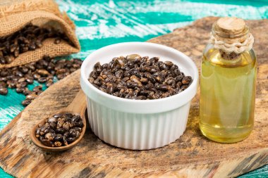 Ricinus Communis - Kurumuş tohumlar ve Hint fasulyesi bitkisinin meyvesinden çıkan yağ