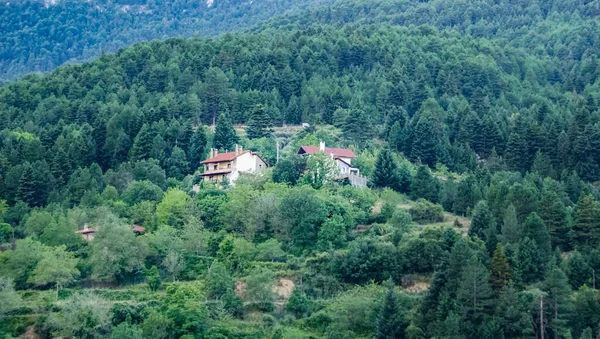 Zarouhla村的房子 希腊Acahia 希腊景观 — 图库照片