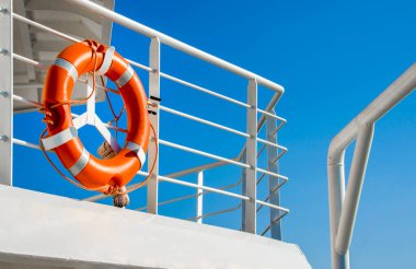 Kuş yuvaları, kurumuş çiçekler ve desenli eski masada bir tavşan..