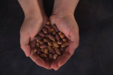 Kadın eli, arka planda bir sürü kavrulmuş fıstık ve fotokopi alanı gösteriyor. Sağlıklı yemek..