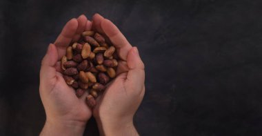 Kadın eli, arka planda bir sürü kavrulmuş fıstık ve fotokopi alanı gösteriyor. Sağlıklı yemek..