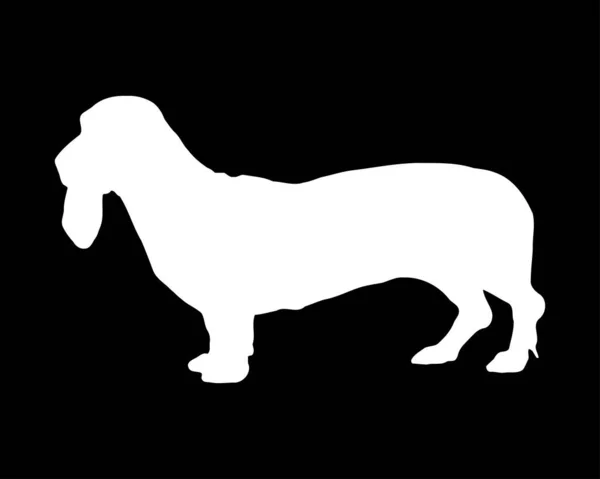 Basset Artsien Normand Dog Vector Silhouette — Vetor de Stock