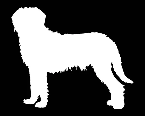 Barak Hound Dog Vector Silhouette — Stockový vektor