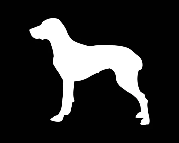 Braque Franais Dog Vector Silhouette — Stockvector