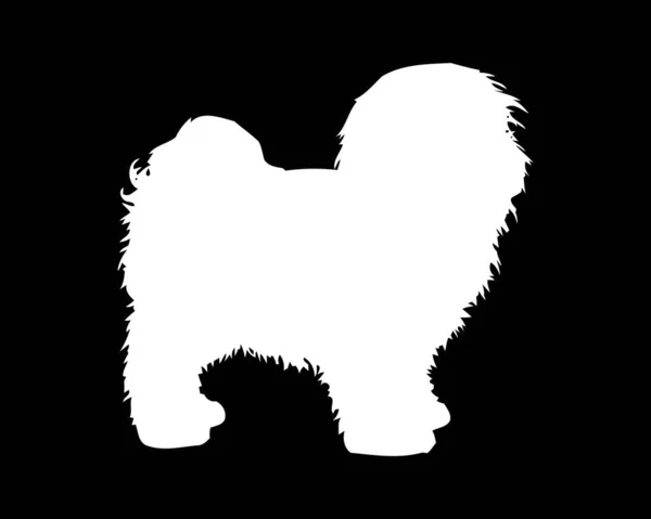 Bolonka Dog Dog Vector Silhouette — Stockový vektor