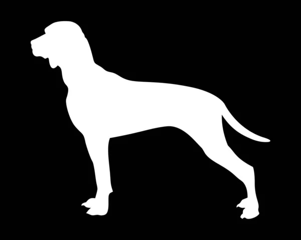 Burgos Wijzer Hond Vector Silhouet — Stockvector