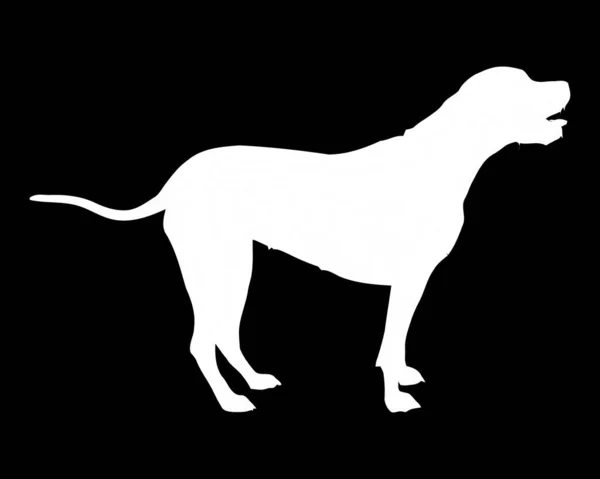 Pestkop Kutta Hond Vector Silhouet — Stockvector