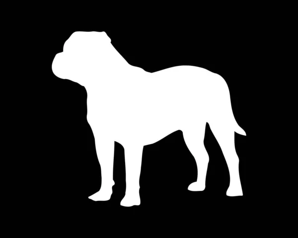Bou Hondenvector Silhouet — Stockvector