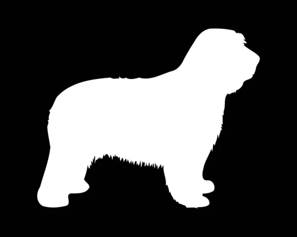 Catalão Sheepdog Dog Vector Silhouette — Vetor de Stock