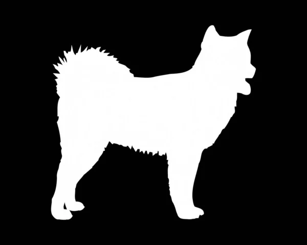 カナダのエスキモー犬ベクトルシルエット — ストックベクタ