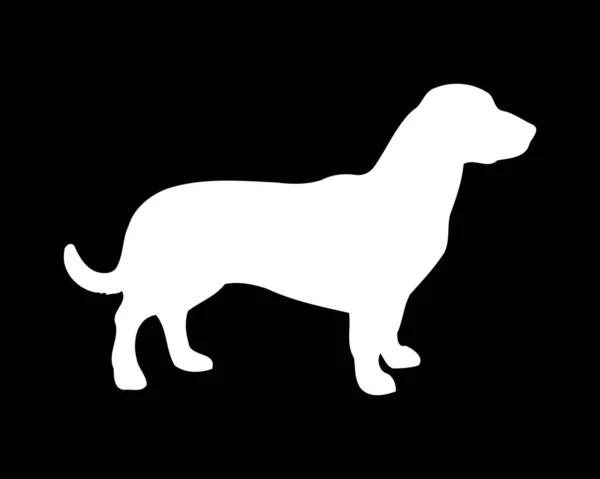 Drever Dog Vector Silhueta — Vetor de Stock