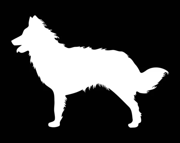 Ciernyシリーズ犬ベクトルシルエット — ストックベクタ