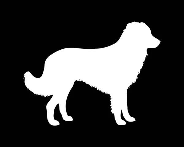 英語羊飼い犬ベクトルシルエット — ストックベクタ