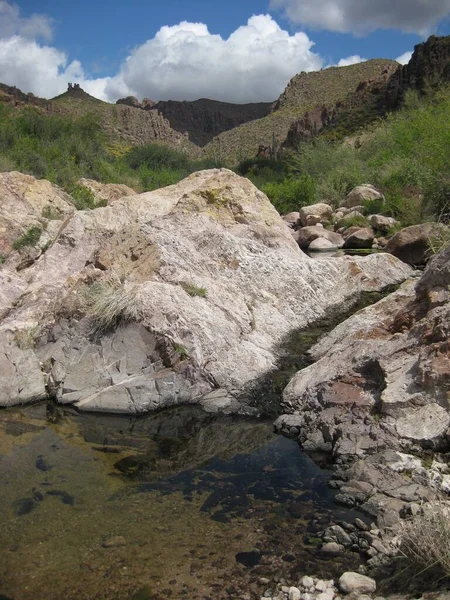 Νερό Στην Έρημο Δει Ενώ Πεζοπορία Από Peralta Trailhead Κοντά — Φωτογραφία Αρχείου