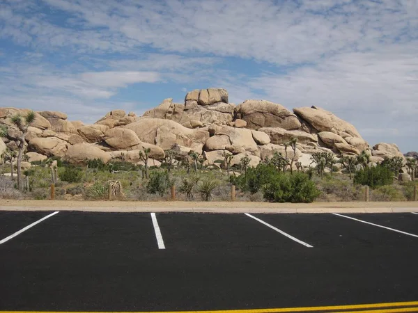 Joshua Tree Ulusal Parkı 'nda boş park yerleri. Yüksek kalite fotoğraf