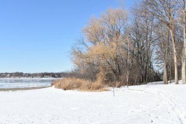 Minnesota Parkı 'nda soğuk bir günde huzurlu bir manzara. Carver County 'deki Minnewashta Gölü Bölge Parkı. Yüksek kalite fotoğraf
