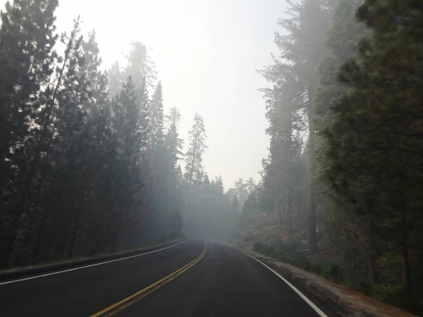 Foggy Road in California, traveling to Yosemite . High quality photo