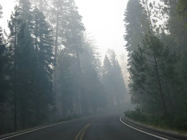 Curving Foggy Road in California, traveling to Yosemite . High quality photo