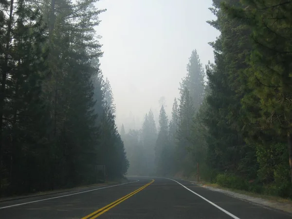 Morning Foggy Road in California, traveling to Yosemite . High quality photo