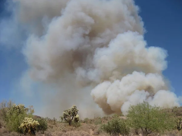 Smoke from a small wildfire near Apache Junction, Arizona . High quality photo