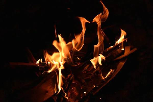 Burning Wood Fire at Campsite at Night . High quality photo