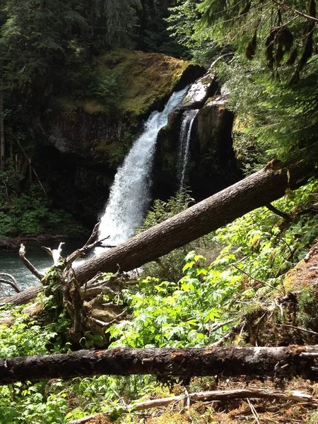 Iron Creek Falls Cachoeira Tranquil Estado Washington Foto Alta Qualidade — Fotografia de Stock