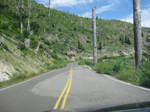 Εθνική Οδός Μέσω Της Περιοχής Του Fallen Trees Στο Όρος — Φωτογραφία Αρχείου