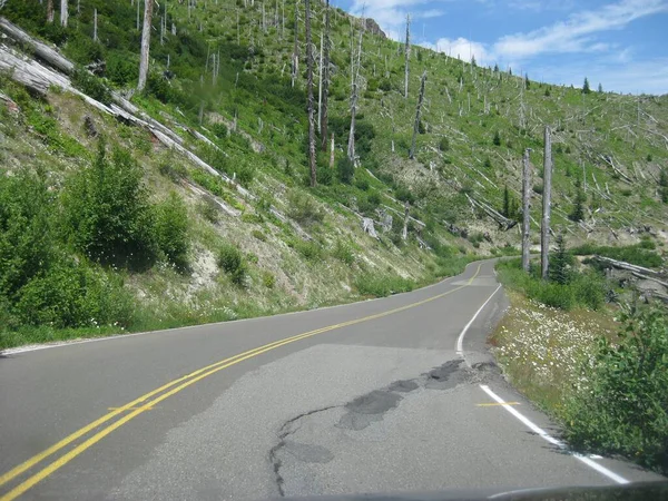 Highway Area Fallen Trees Mount Rainier National Park Inglês Foto — Fotografia de Stock