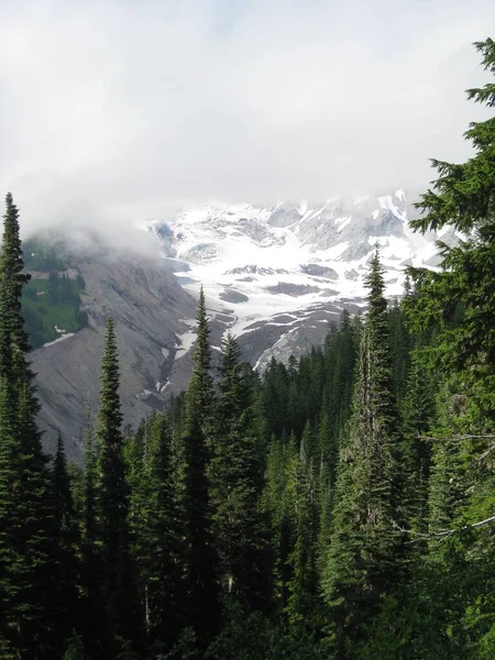 Snowy Peak Verborgen Clouds Mount Rainier National Park Hoge Kwaliteit — Stockfoto
