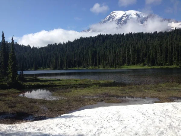 Olhando Para Lago Reflexão Mount Rainier National Park Foto Alta — Fotografia de Stock
