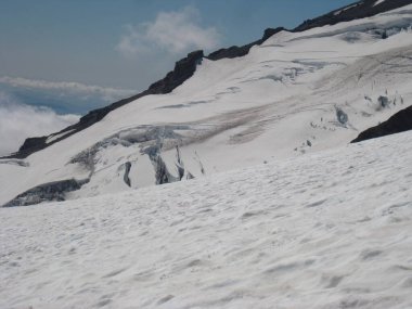 Rainier Dağı 'ndan Muir Kampı' na, Kar Sahası 'na, Skyline Döngü Yolu' ndan Muir Kampı 'na. Mount Rainier Ulusal Parkı Yüksek Kaliteli Fotoğraf