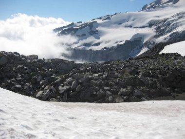 Rainier Dağı 'ndan Muir Kampı' na, Kar Sahası 'na, Skyline Döngü Yolu' ndan Muir Kampı 'na. Mount Rainier Ulusal Parkı Yüksek Kaliteli Fotoğraf