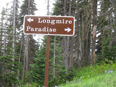 Longmire ve Paradise yönlü kahverengi tabela, Rainier Dağı Ulusal Parkı. Yüksek kalite fotoğraf