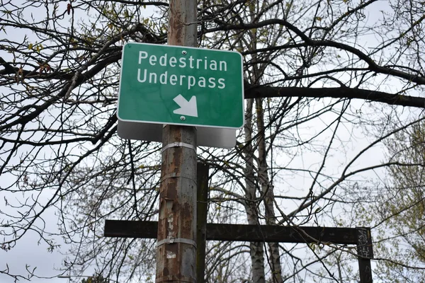 Grünes Schild Für Fußgängerunterführung Mit Pfeil Auf Pfahl Seattle Hochwertiges — Stockfoto