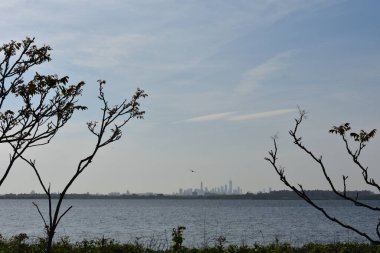 Jamaika Körfezi Vahşi Yaşam Sığınağı 'ndan Manhattan Skyline' a. Yüksek kalite fotoğraf