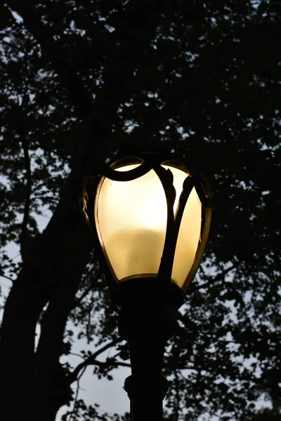 Streetlight Glödande Central Park New York City Manhattan Högkvalitativt Foto — Stockfoto