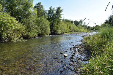 Güzel bir günde Kuzey Kaliforniya 'da Redding yakınlarında Clear Creek. Yüksek kalite fotoğraf