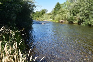 Kuzey Kaliforniya, Redding yakınlarındaki Clear Creek Bankası 'ndan Güzel Gün' ün görüntüsü. Yüksek kalite fotoğraf
