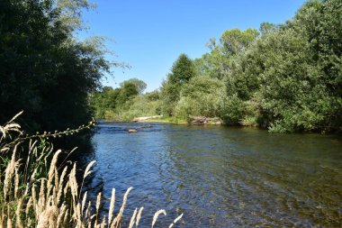 Kuzey Kaliforniya, Redding yakınlarındaki Clear Creek Bankası 'ndan Güzel Gün' ün görüntüsü. Yüksek kalite fotoğraf