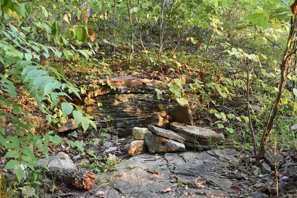 Tioga Falls Ösvény Túrázás Naplemente Előtt Radcliff Kentucky Közelében Kiváló — Stock Fotó