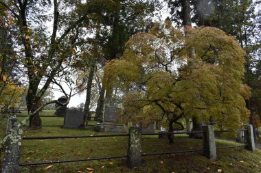 Sleepy Hollow Mezarlığı, yağmurlu bir Ekim gününde, New York 'ta güzel ve tarihi bir mezarlık. Yüksek kalite fotoğraf