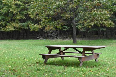 Orman, Bronx, New York City 'de Çimenler Üzerinde Ahşap Piknik Masası. Orchard Beach Park Lisesi kaliteli fotoğraf.