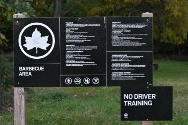 Orman, Bronx, New York City 'de Çimenler Üzerinde Ahşap Piknik Masası. Orchard Beach Park Lisesi kaliteli fotoğraf.