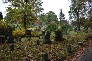 Sleepy Hollow Mezarlığı, yağmurlu bir Ekim gününde, New York 'ta güzel ve tarihi bir mezarlık. Yüksek kalite fotoğraf