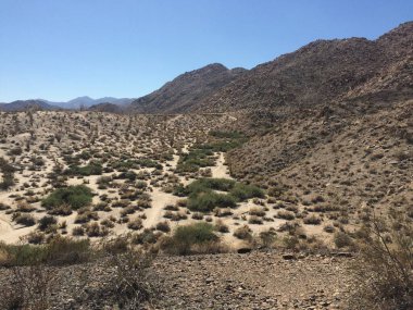 Anza Borrego Eyalet Parkı 'ndaki Güzel Çöl Sahnesi, Hillside ve Valley. Yüksek kalite fotoğraf