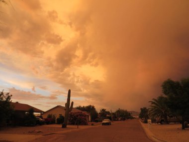 Arizona 'daki Muhteşem Yaz Haboob Toz Fırtınası. Yüksek kalite fotoğraf