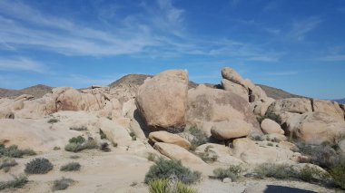 Joshua Tree Ulusal Parkı, Kaliforniya. Yüksek kalite fotoğraf