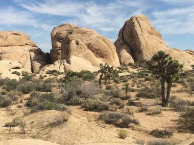 Joshua Tree Ulusal Parkı, Kaliforniya 'daki kayaların manzarası. Yüksek kalite fotoğraf
