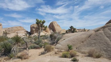 Joshua Tree Ulusal Parkı, Kaliforniya 'daki kayaların manzarası. Yüksek kalite fotoğraf